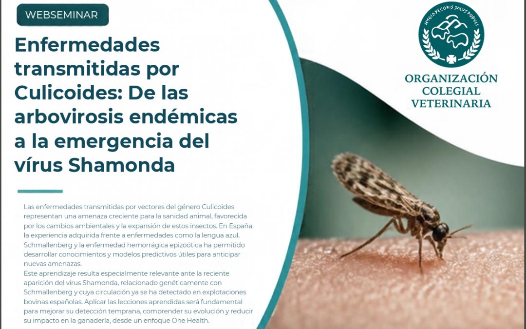 WEBSEMINAR: «Enfermedades transmitidas por Culicoides: De las arbovirosis endémicas a la emergencia del virus Shamonda»