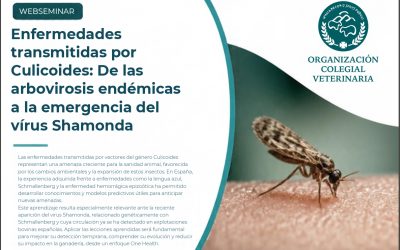 WEBSEMINAR: «Enfermedades transmitidas por Culicoides: De las arbovirosis endémicas a la emergencia del virus Shamonda»